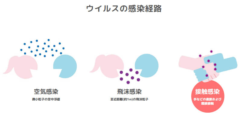 胴のメカニズム-6