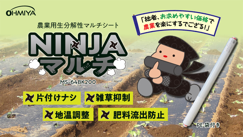 ninja200