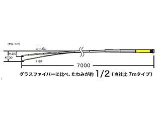 デンサン カーボンフィッシャー ライトなし 5mタイプ DCF-5000S ウエダ