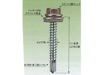 若井産業　ステンキャップ（全ネジ）　5ｘ19　69519CZ　300個